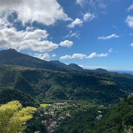 Le Petit Paradis Roseau Bagian luar foto