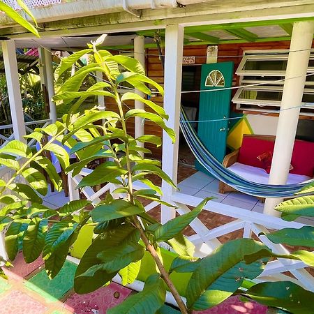 Le Petit Paradis Roseau Bagian luar foto