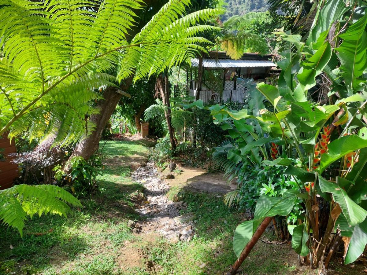 Le Petit Paradis Roseau Bagian luar foto