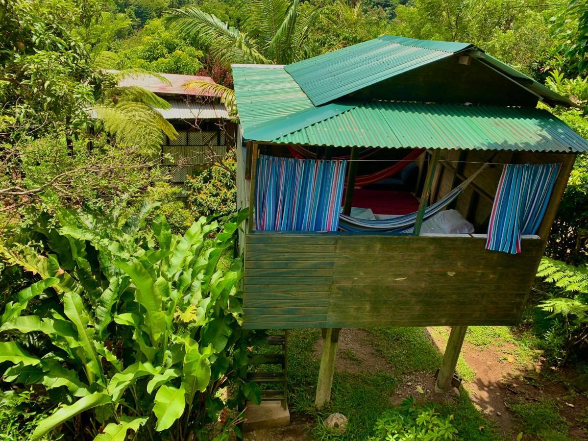 Le Petit Paradis Roseau Bagian luar foto