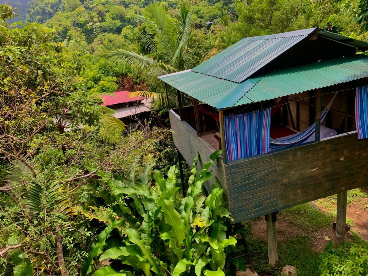 Le Petit Paradis Roseau Bagian luar foto