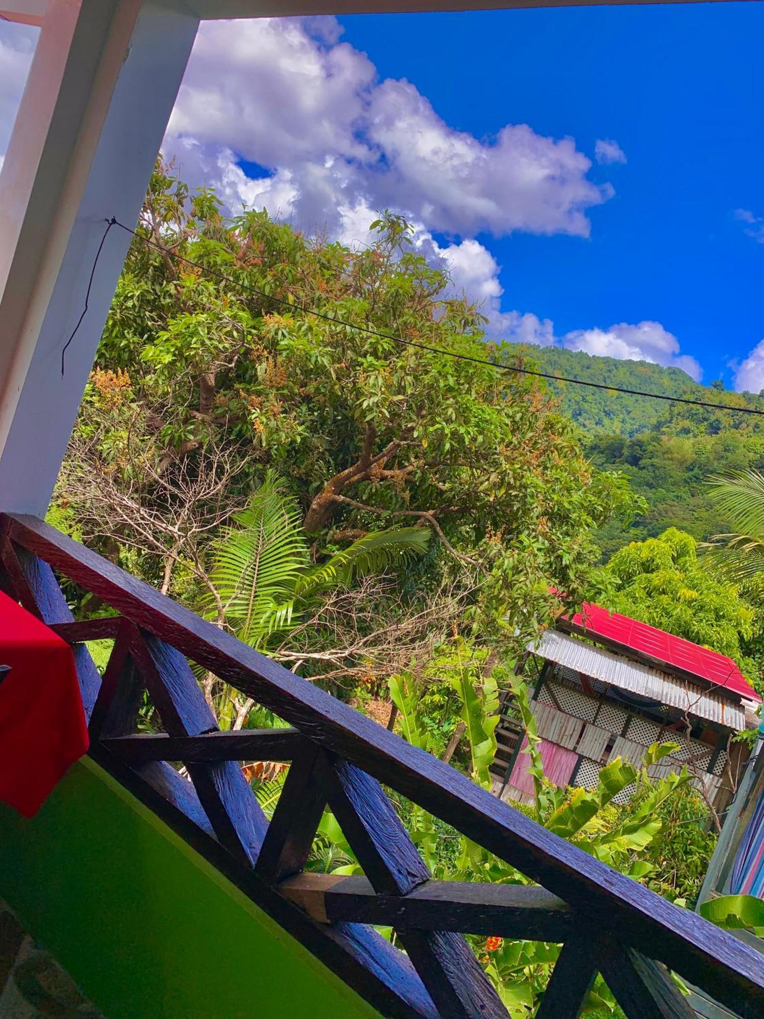 Le Petit Paradis Roseau Bagian luar foto