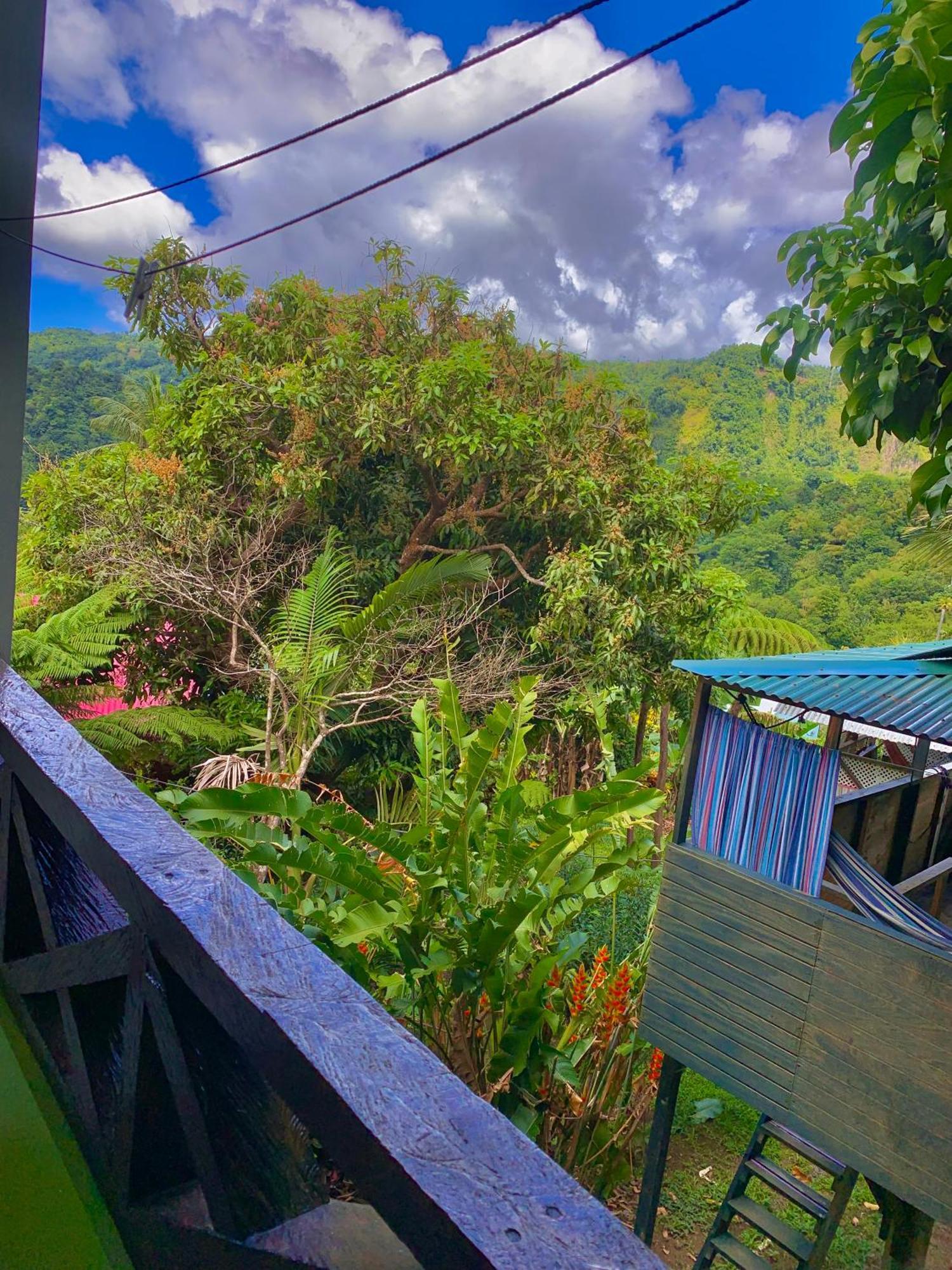 Le Petit Paradis Roseau Bagian luar foto