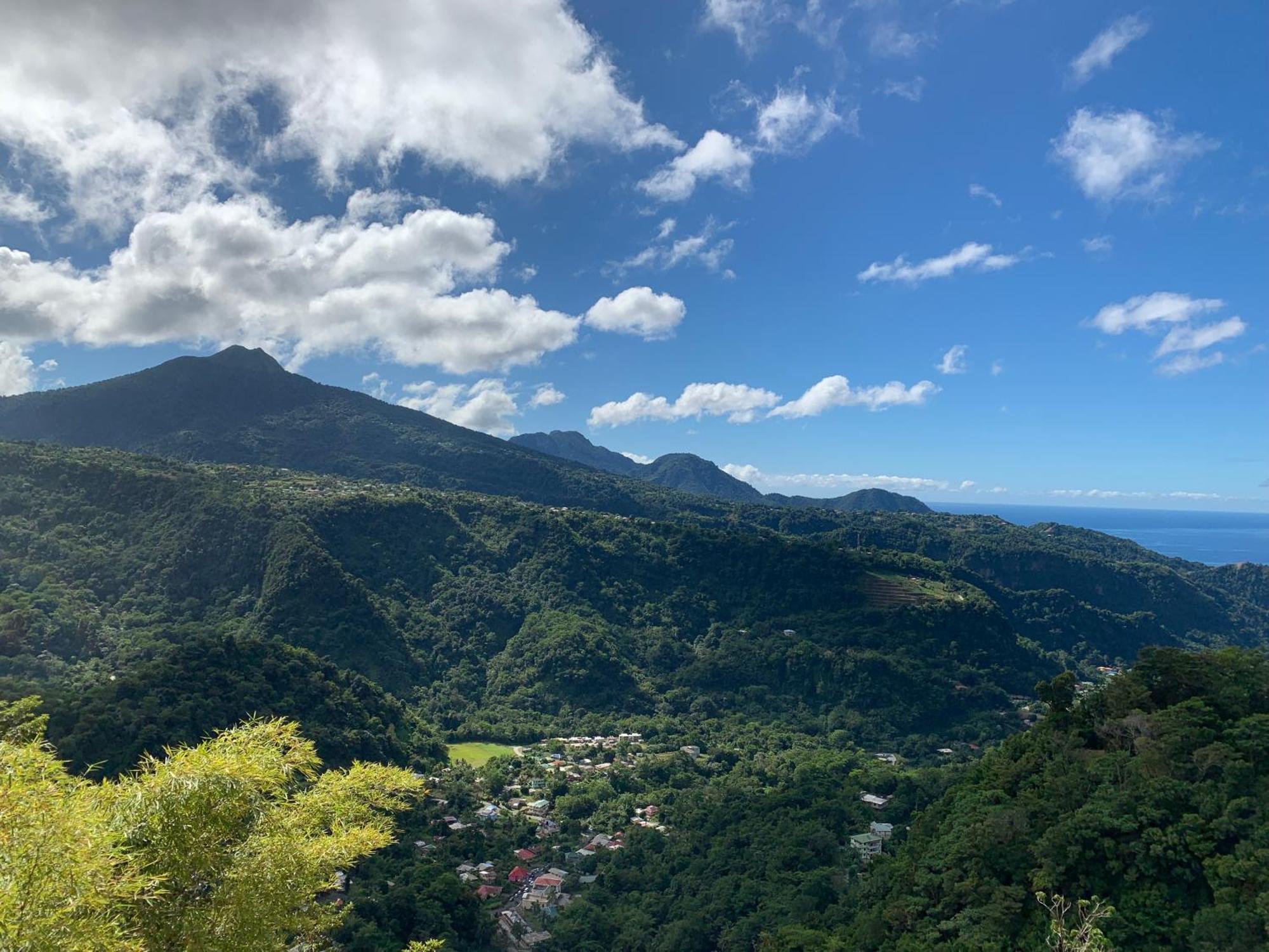 Le Petit Paradis Roseau Bagian luar foto