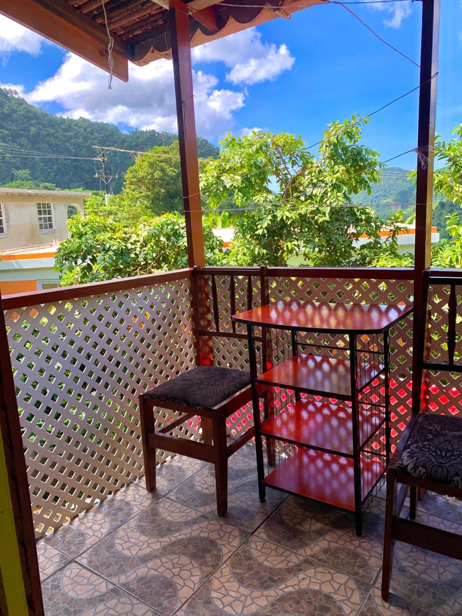 Le Petit Paradis Roseau Bagian luar foto