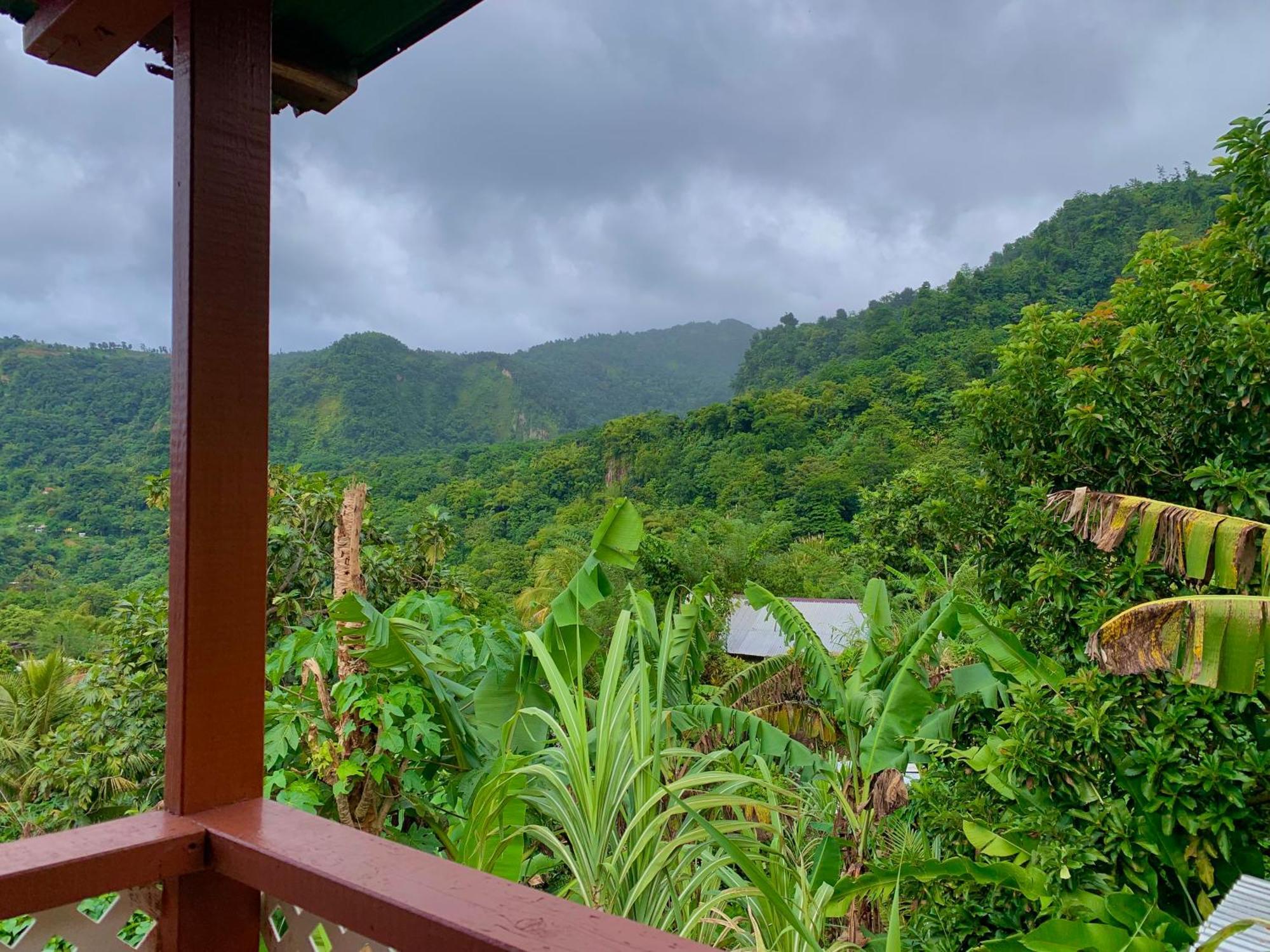 Le Petit Paradis Roseau Bagian luar foto