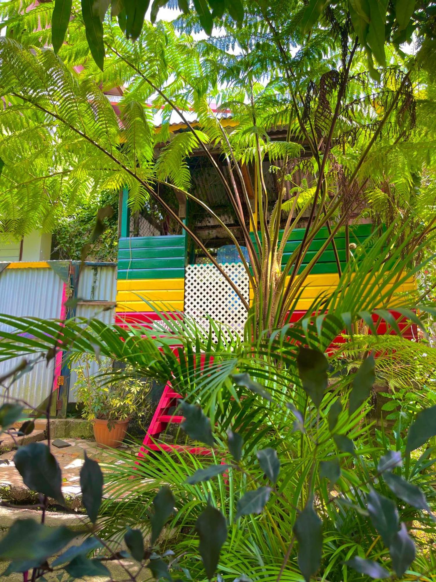 Le Petit Paradis Roseau Bagian luar foto