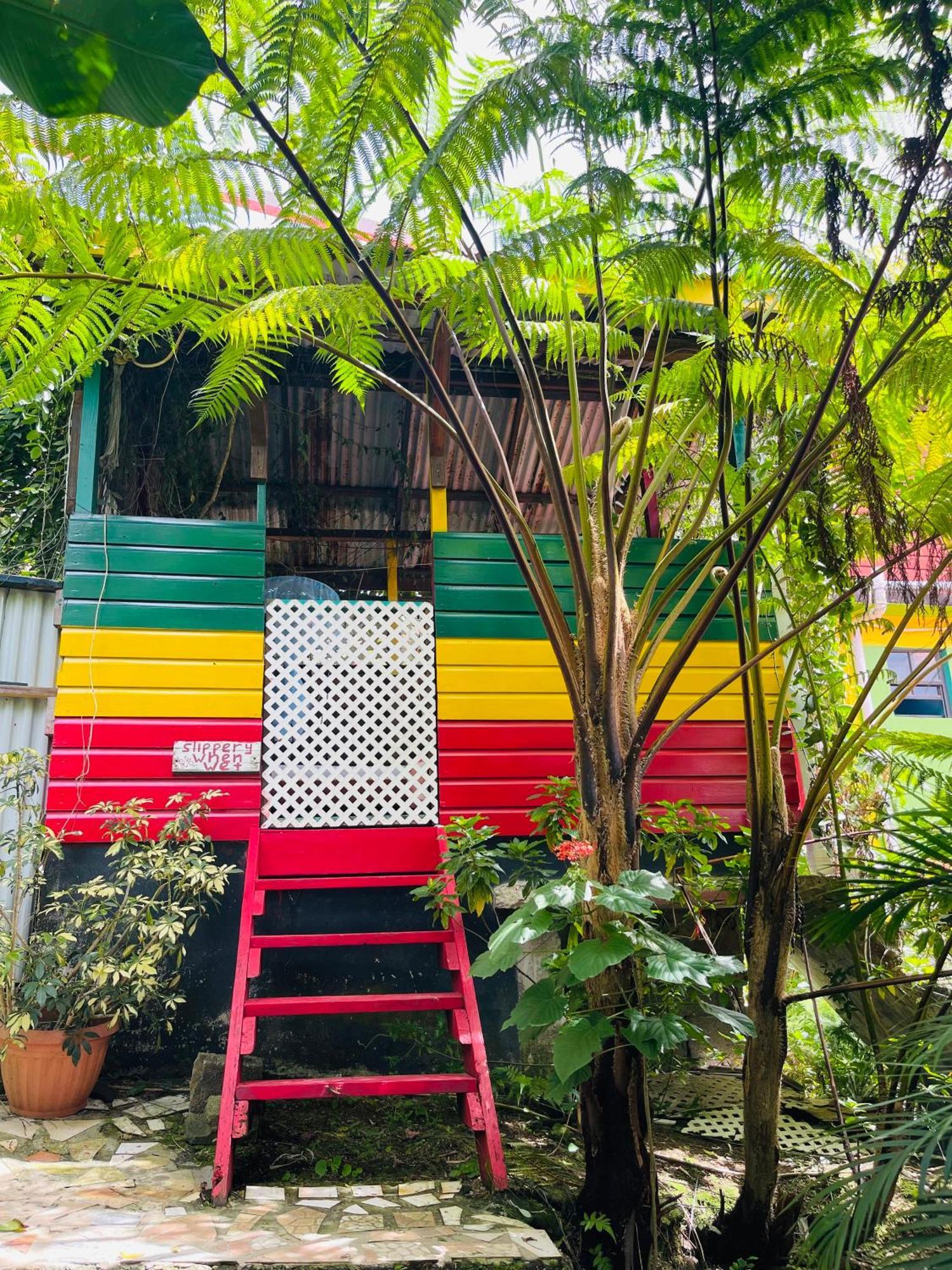 Le Petit Paradis Roseau Bagian luar foto