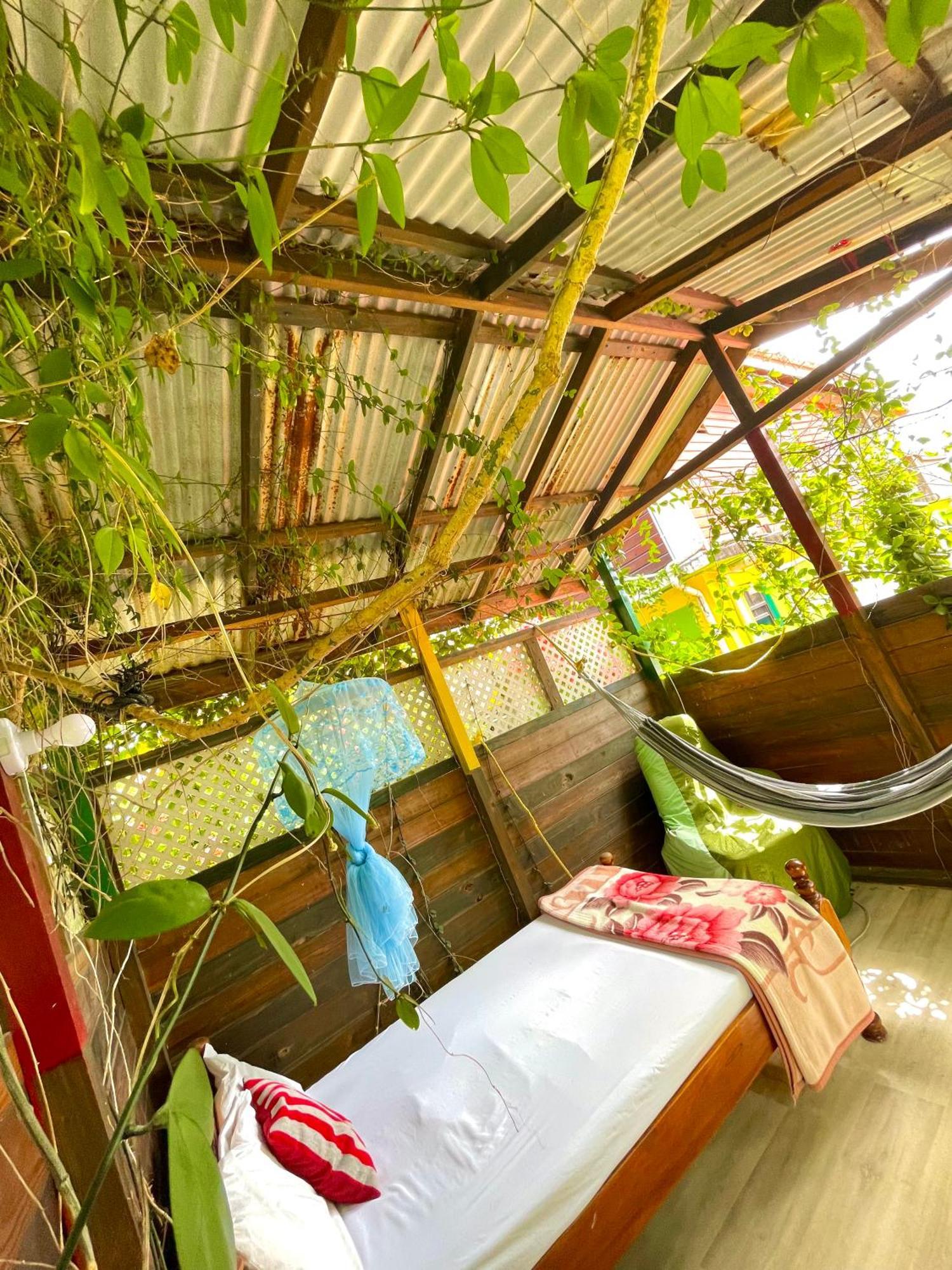 Le Petit Paradis Roseau Bagian luar foto