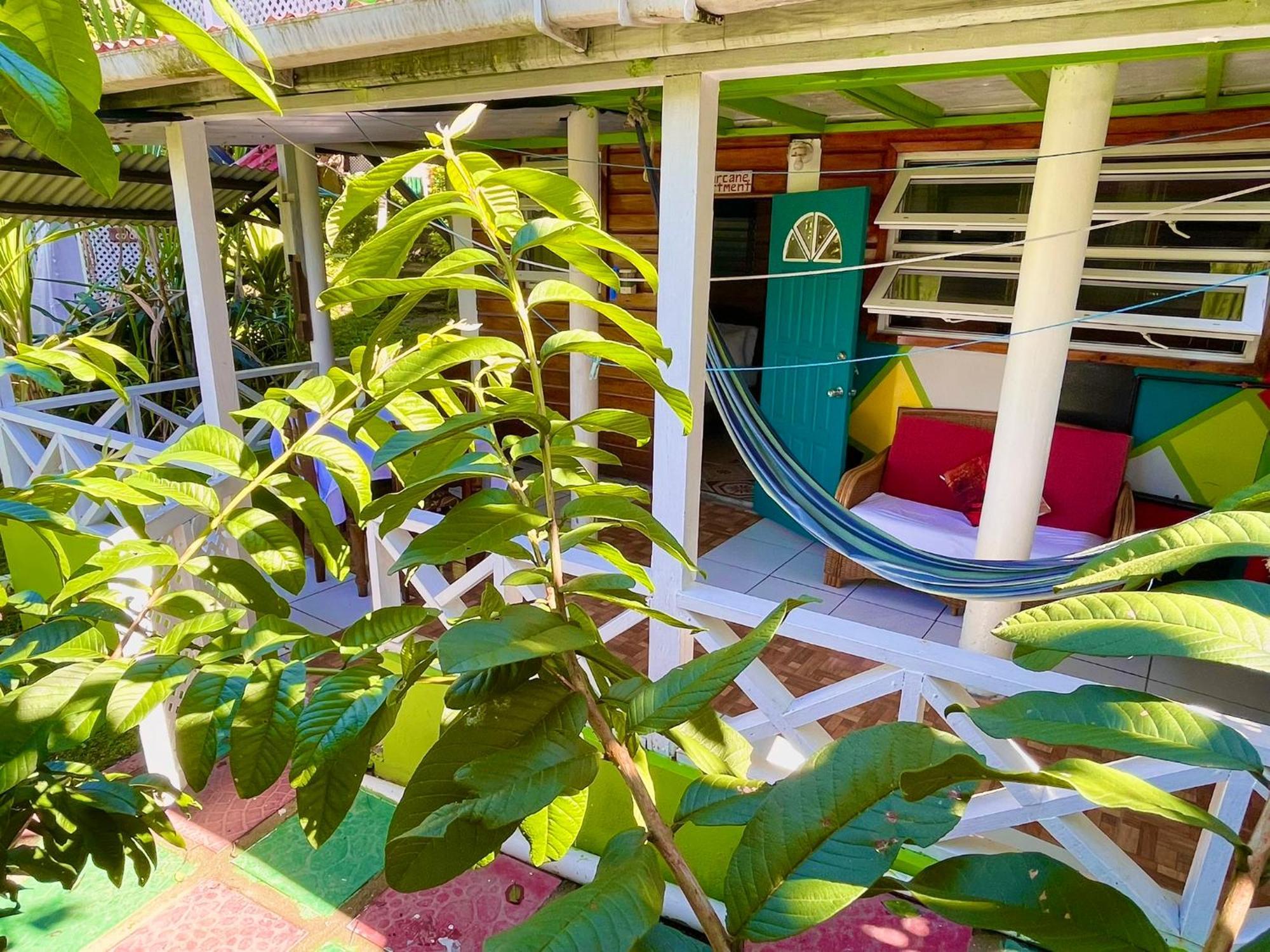 Le Petit Paradis Roseau Bagian luar foto