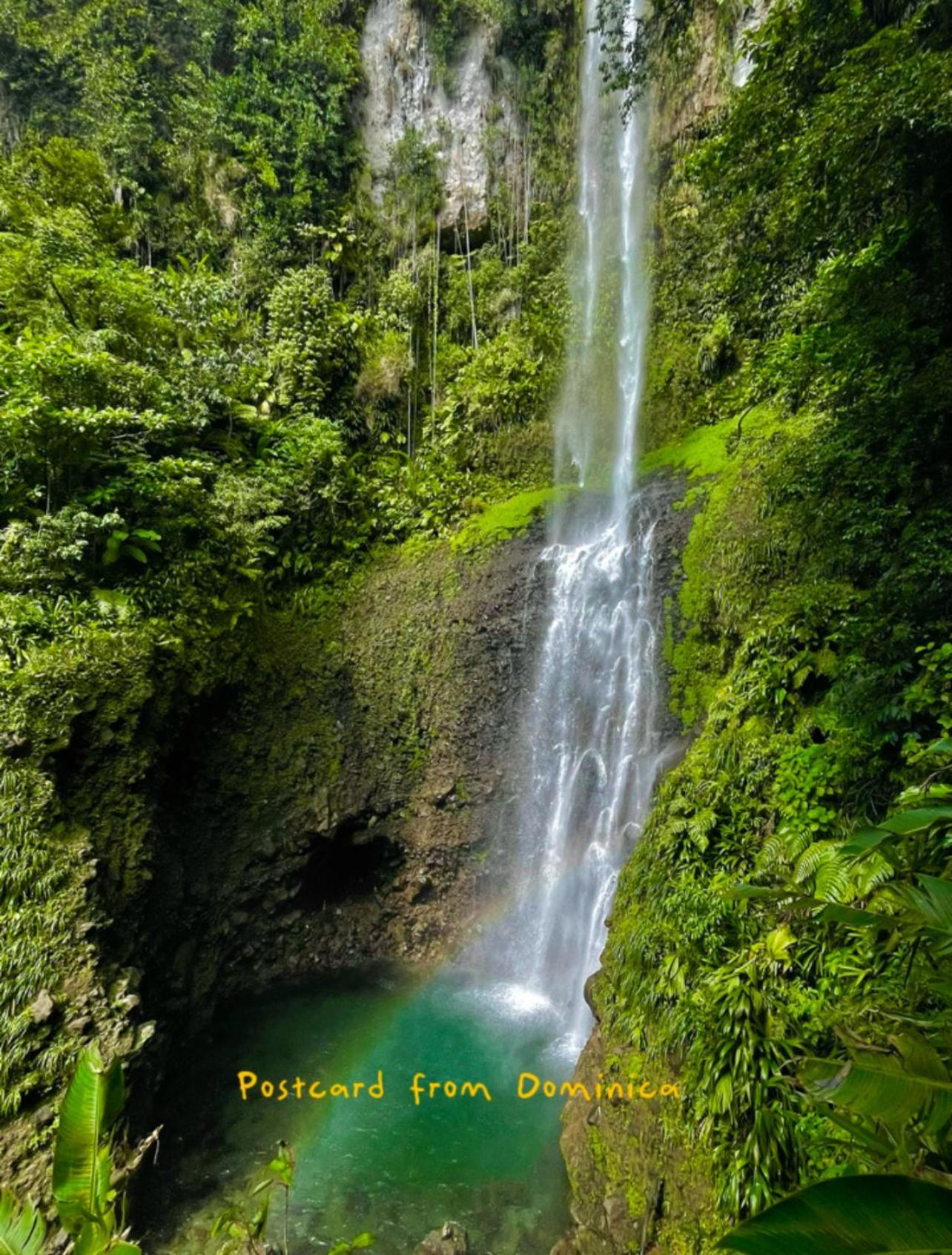 Le Petit Paradis Roseau Bagian luar foto